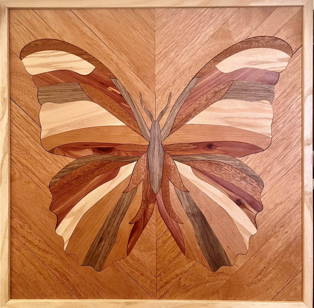 Shades of a Butterfly
