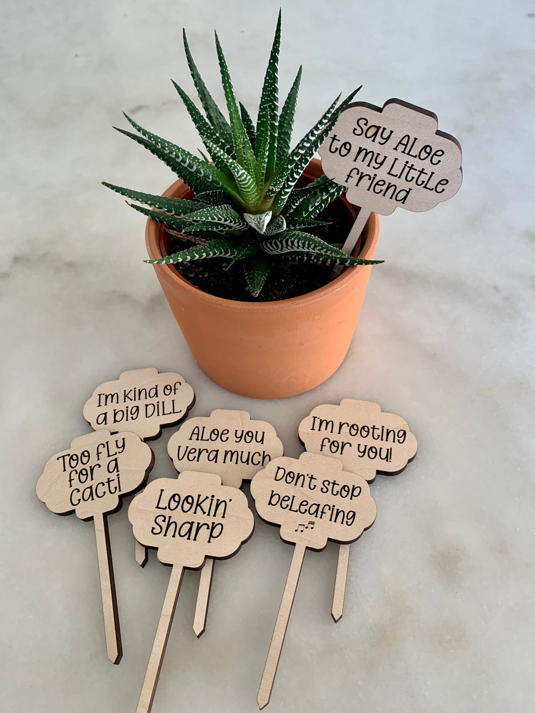 Funny Plant Stakes